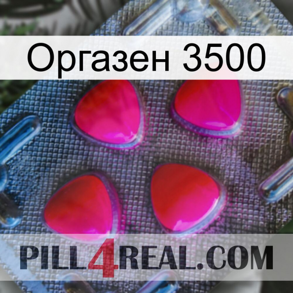 Оргазен 3500 13.jpg